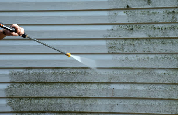 Attic Mold Removal in Olean, NY